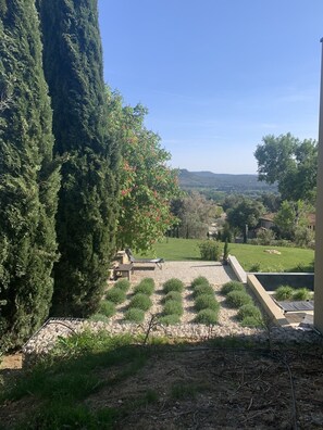 A view of a garden with a patio area, a tall tree, and a distant landscape.