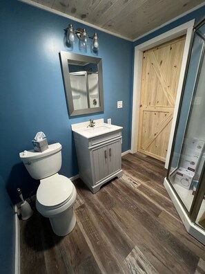 A bathroom with a toilet, sink, mirror, and wooden door. - If you love water & outdoor activities this is the place for you!! (Indian River)