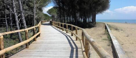Playa en los alrededores