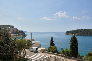 Unclassified image, 2 of 52, button