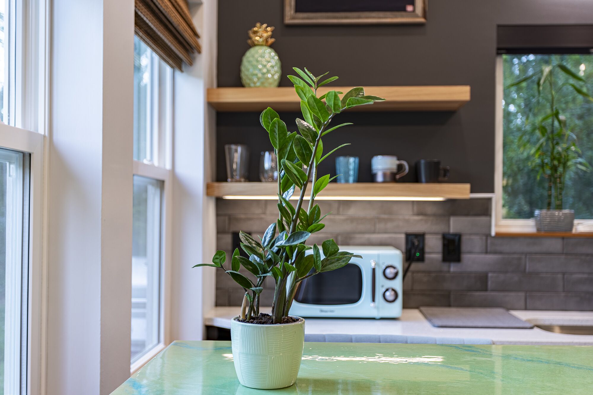 Een keuken met een plant in een pot op een groene tafel, een magnetron en een plank met decoratieve objecten.
