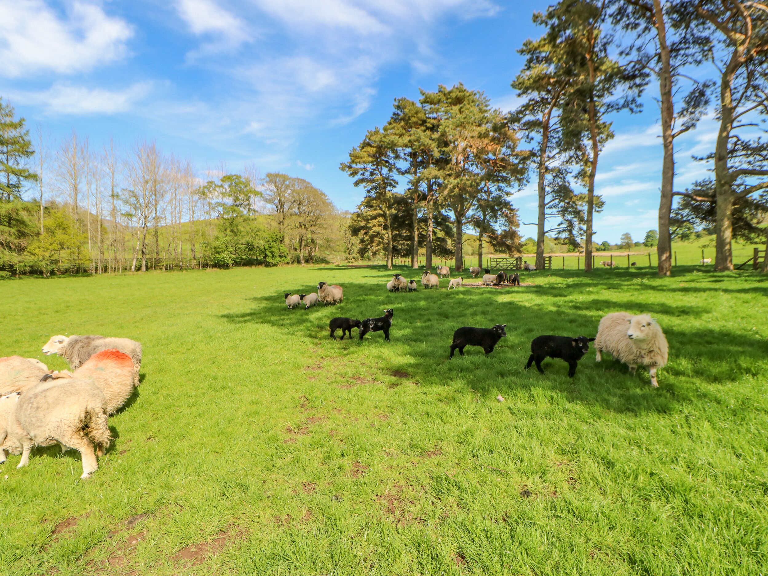 コテージ | 内装