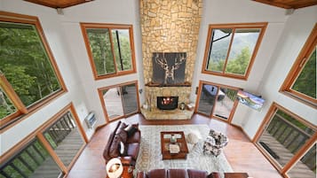 Smart-tv, pejs, videospil, bøger