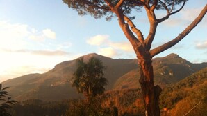 A mountainous landscape with a prominent tree in the foreground. - Adults only. Air conditioning, Wi-Fi, pool, garden, parking. (Camaiore)