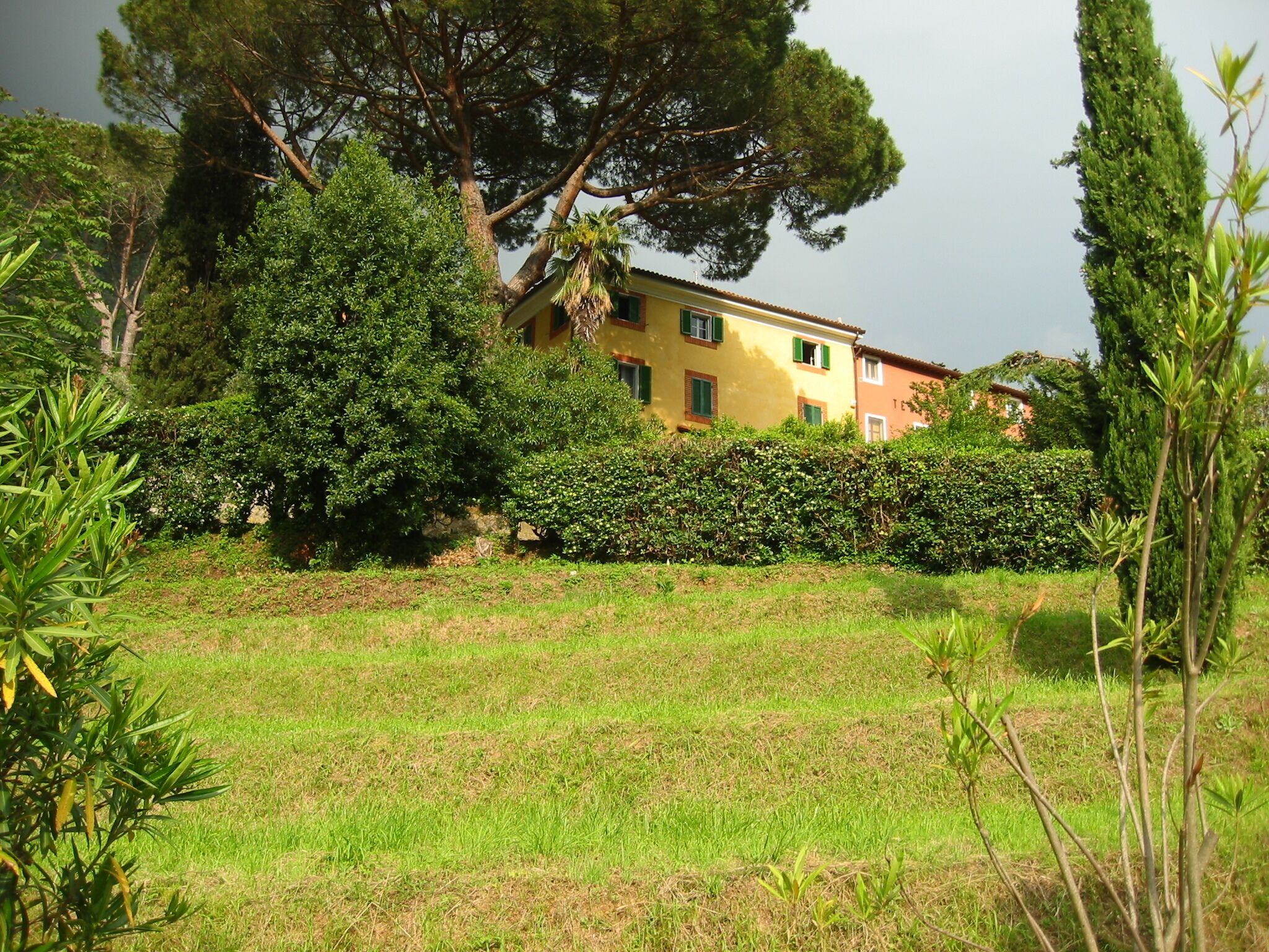 Uma casa amarela com persianas verdes, rodeada por um gramado bem cuidado e árvores densas.