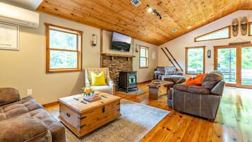 Smart TV, fireplace, video games, books