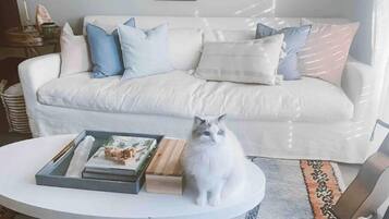 Smart-tv och printers