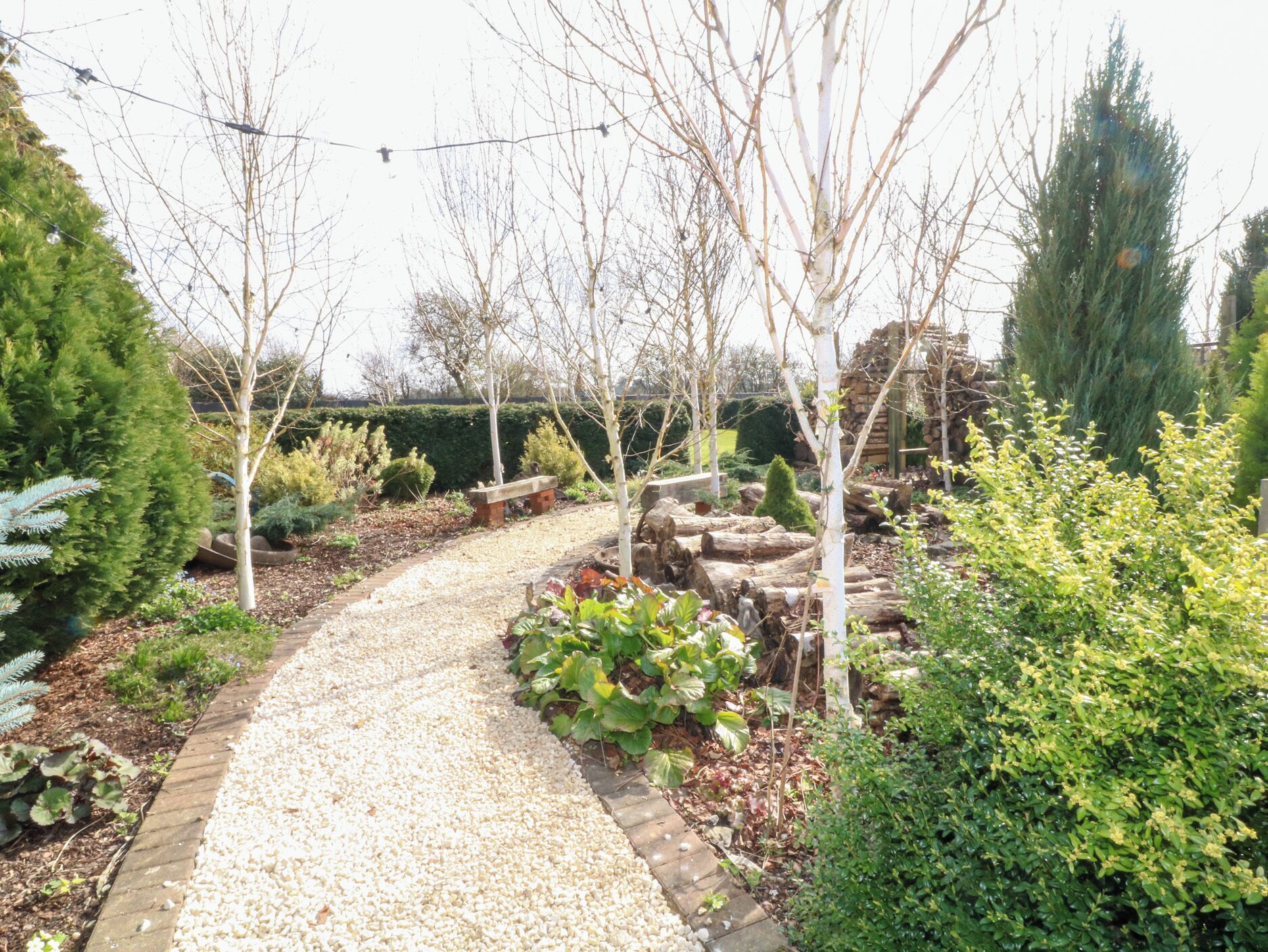 Un chemin de jardin recouvert de gravier, bordé de différentes plantes et arbres.