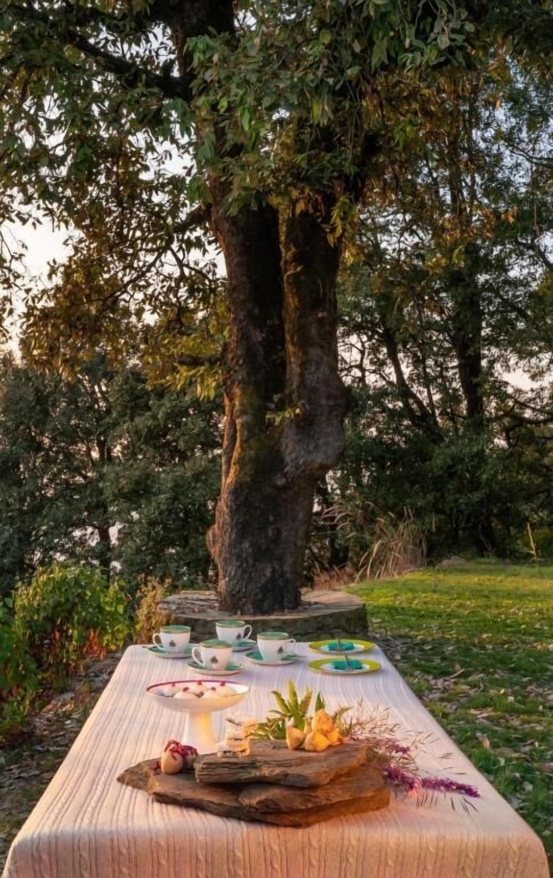Uma mesa para piquenique sob uma árvore grande, rodeada por vegetação.
