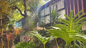 A lush garden with various tropical plants and a wooden staircase leading up to a building. - Pousada Unaí (Ipojuca)
