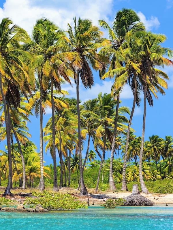 Beach nearby, white sand, 20 beach bars