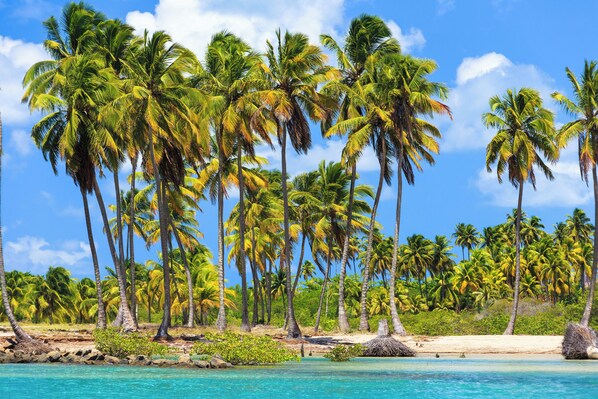 Beach nearby, white sand, 20 beach bars