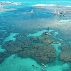 Beach nearby, white sand, 20 beach bars