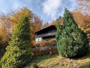 Une cabane dotée d’un balcon, entourée d’arbres à feuilles persistantes et de feuillages d’automne.
