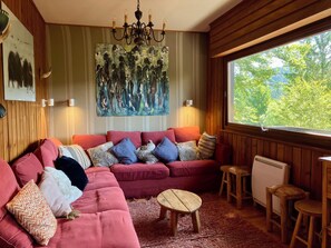 Télévision, cheminée, livres, chaîne hi-fi