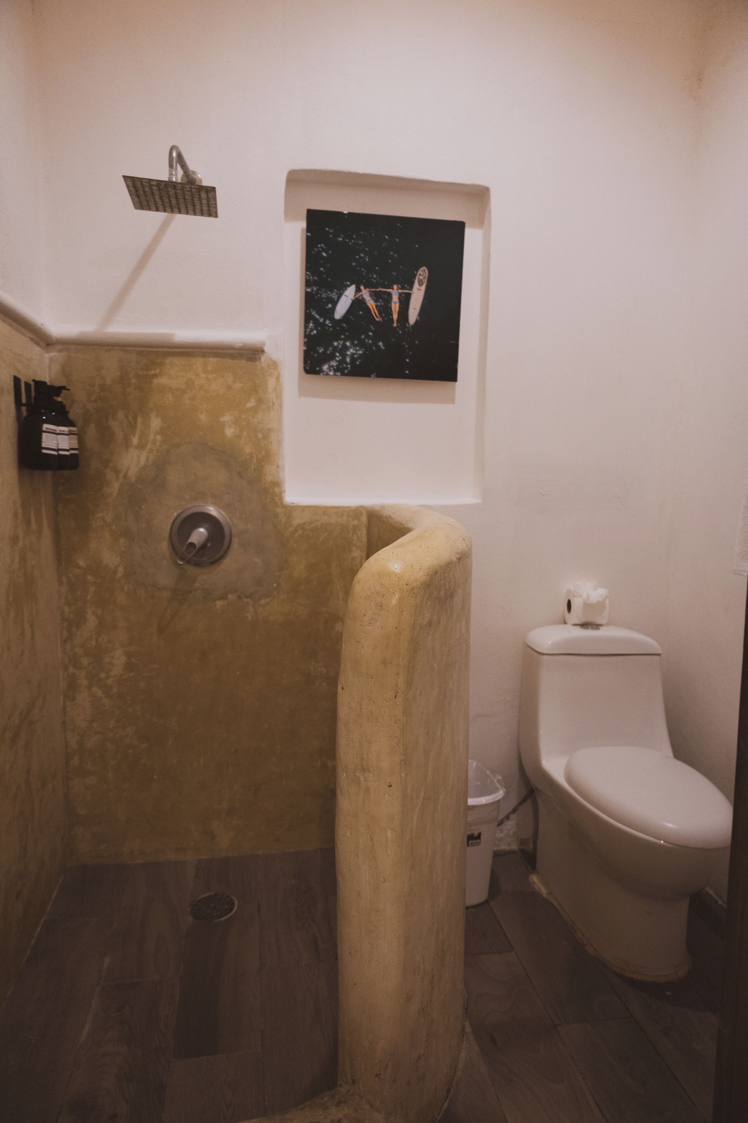 Baño con ducha, inodoro y un cuadro en la pared.