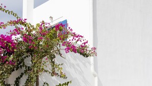 Ein weißes Gebäude mit blauen Türen und Fenstern, umgeben von Grünpflanzen und rosafarbenen Blumen.