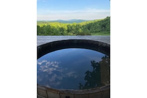 Surrounded by lush greenery, this serene water feature offers a peaceful escape.