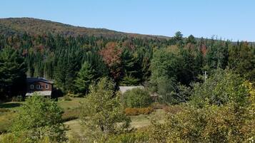 A cabin surrounded by dense forest and a hill in the background.
