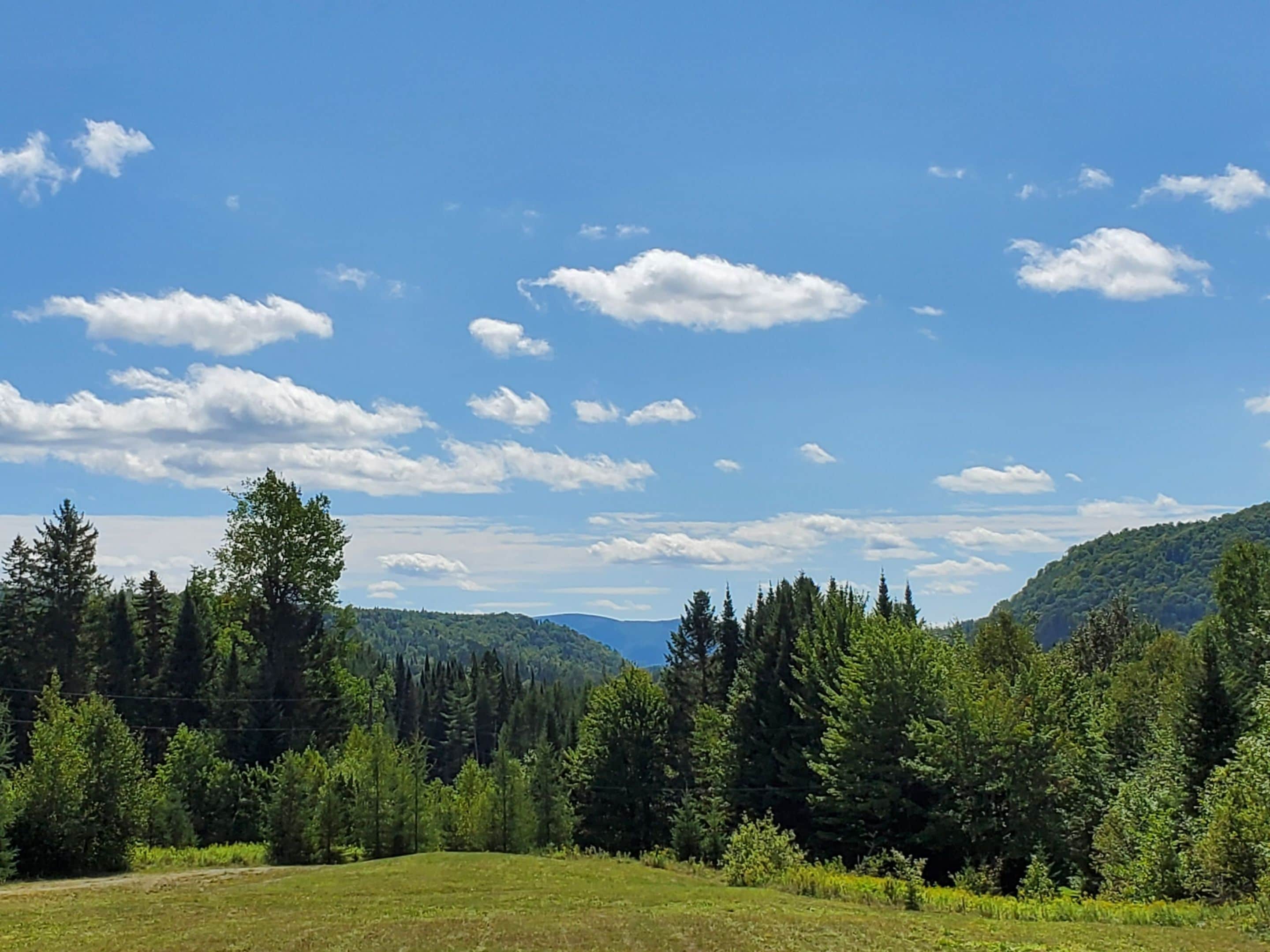 Paisaje natural con cielo despejado y zona boscosa.