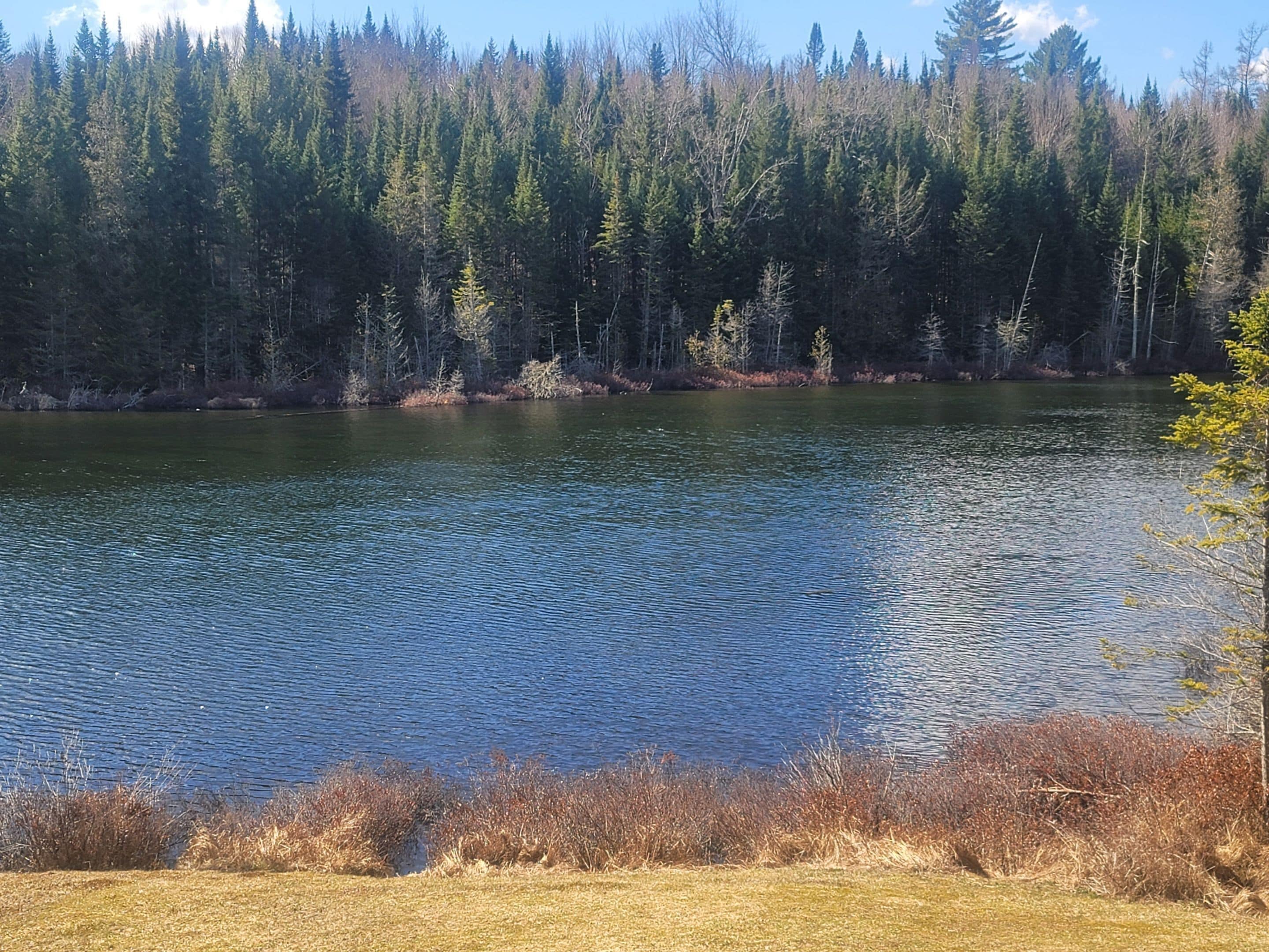 A lake surrounded by dense forest.