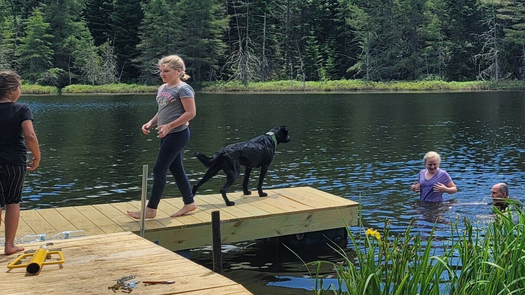 A wooden dock extending into a lake with people and a dog on it.