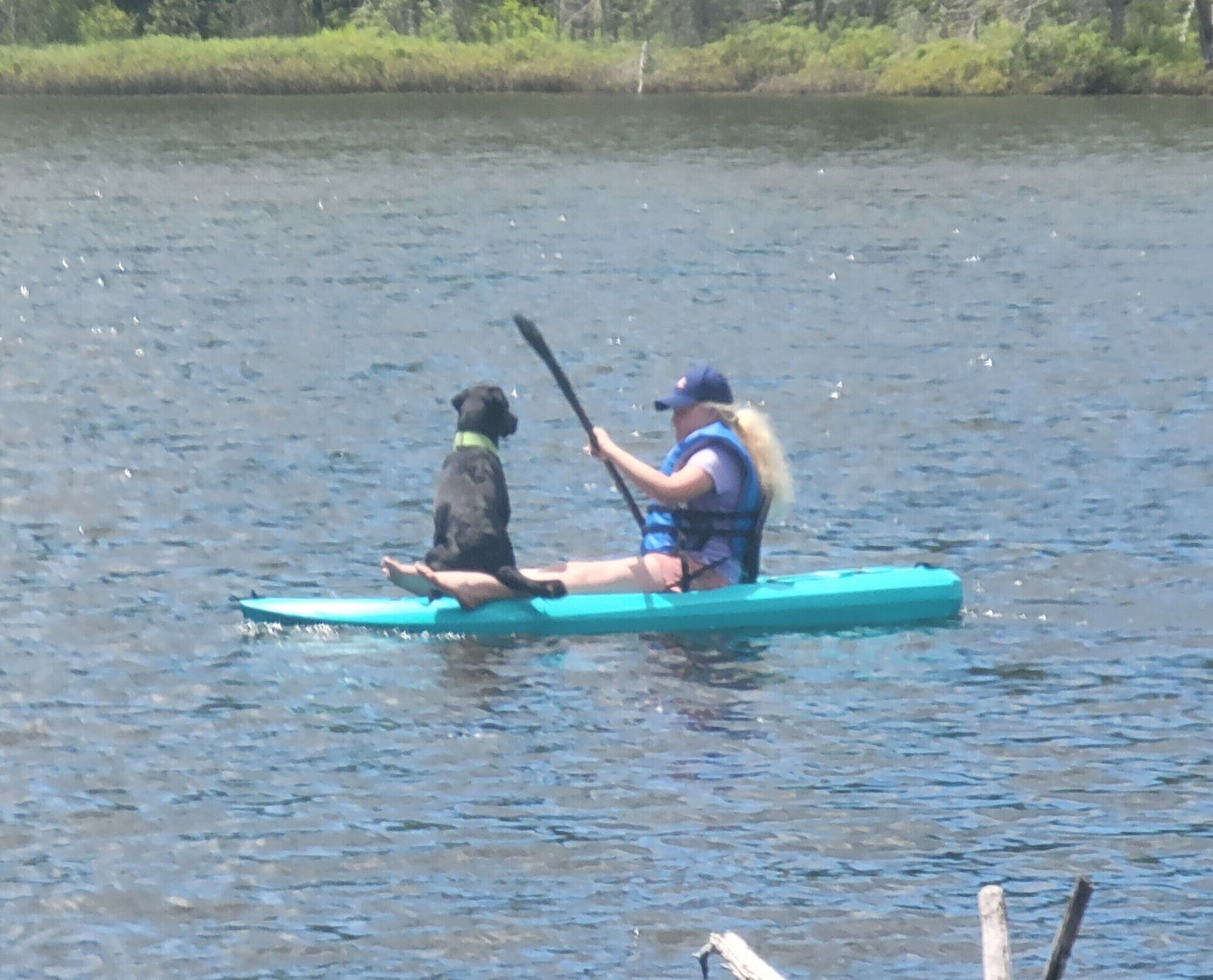 En person og en hund på en lille, smal båd på vandet.