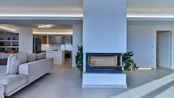 Smart TV, fireplace, DVD player, books