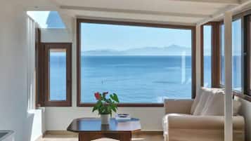 Smart TV, fireplace, DVD player, books