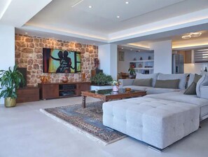 TV connectée, cheminée, lecteur de DVD, livres