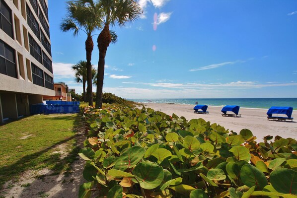 Enjoy stunning ocean views from this beachfront hotel with a modern design and expansive windows.