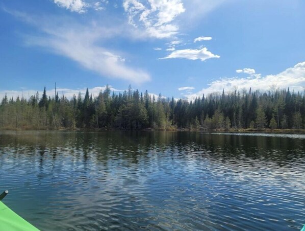 En stilla sjö med tät skog på den motsatta stranden.