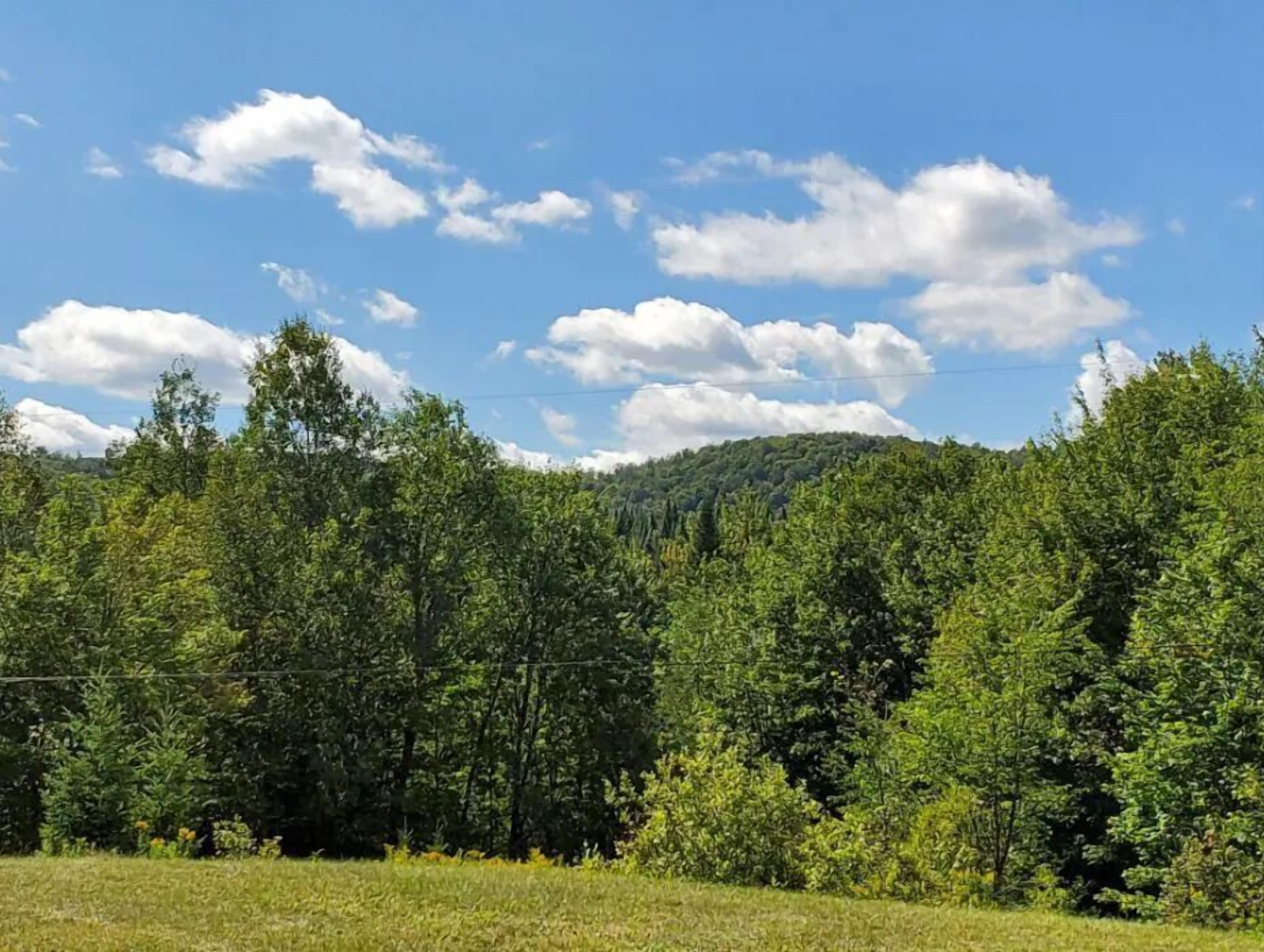 A natural landscape with dense trees and a clear sky.