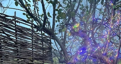Daisy-a romantic logcabin hiding amongst the trees