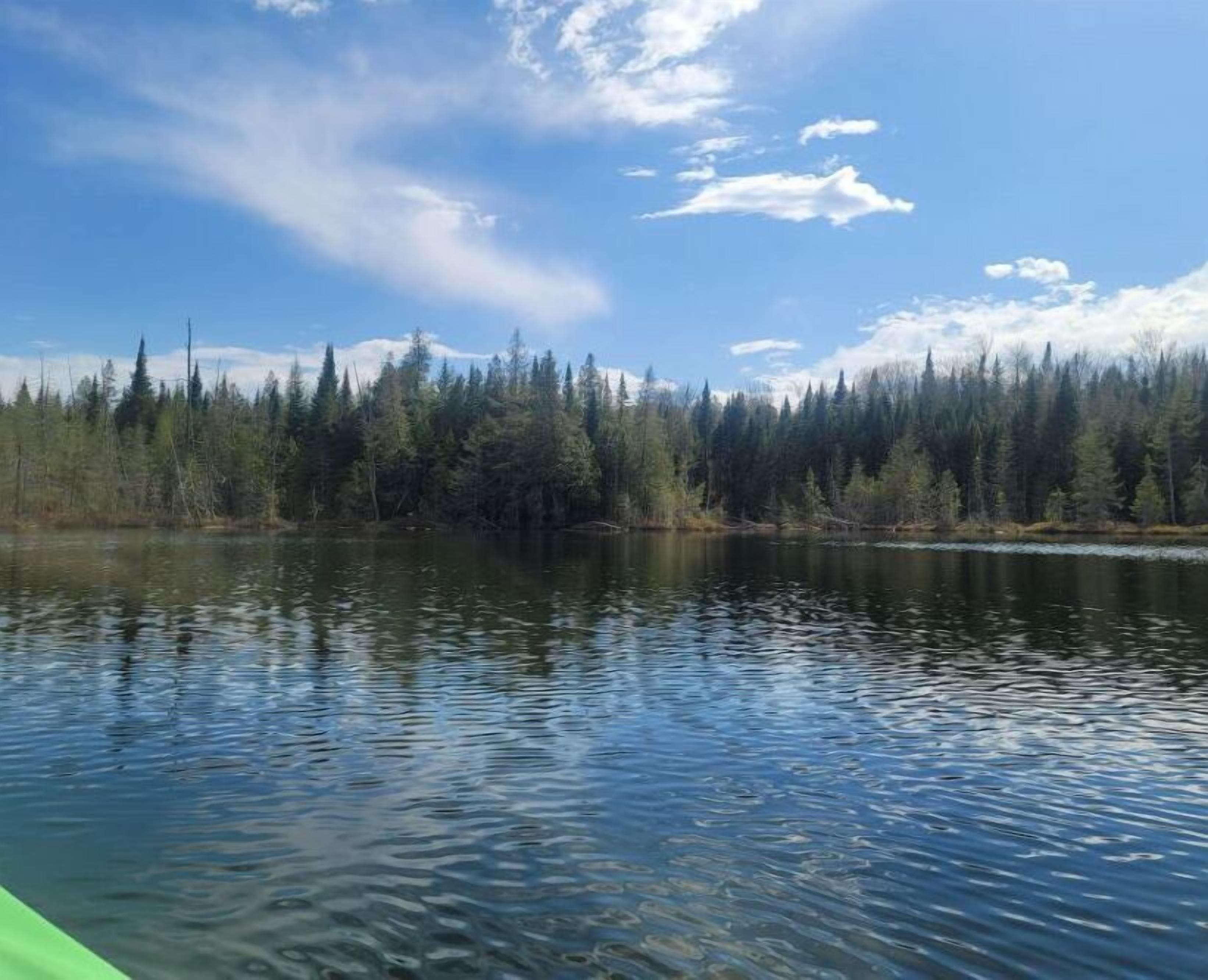 A calm lake with dense forest on the opposite shore.