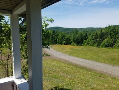 Property grounds. 04) Moose Place Cabin