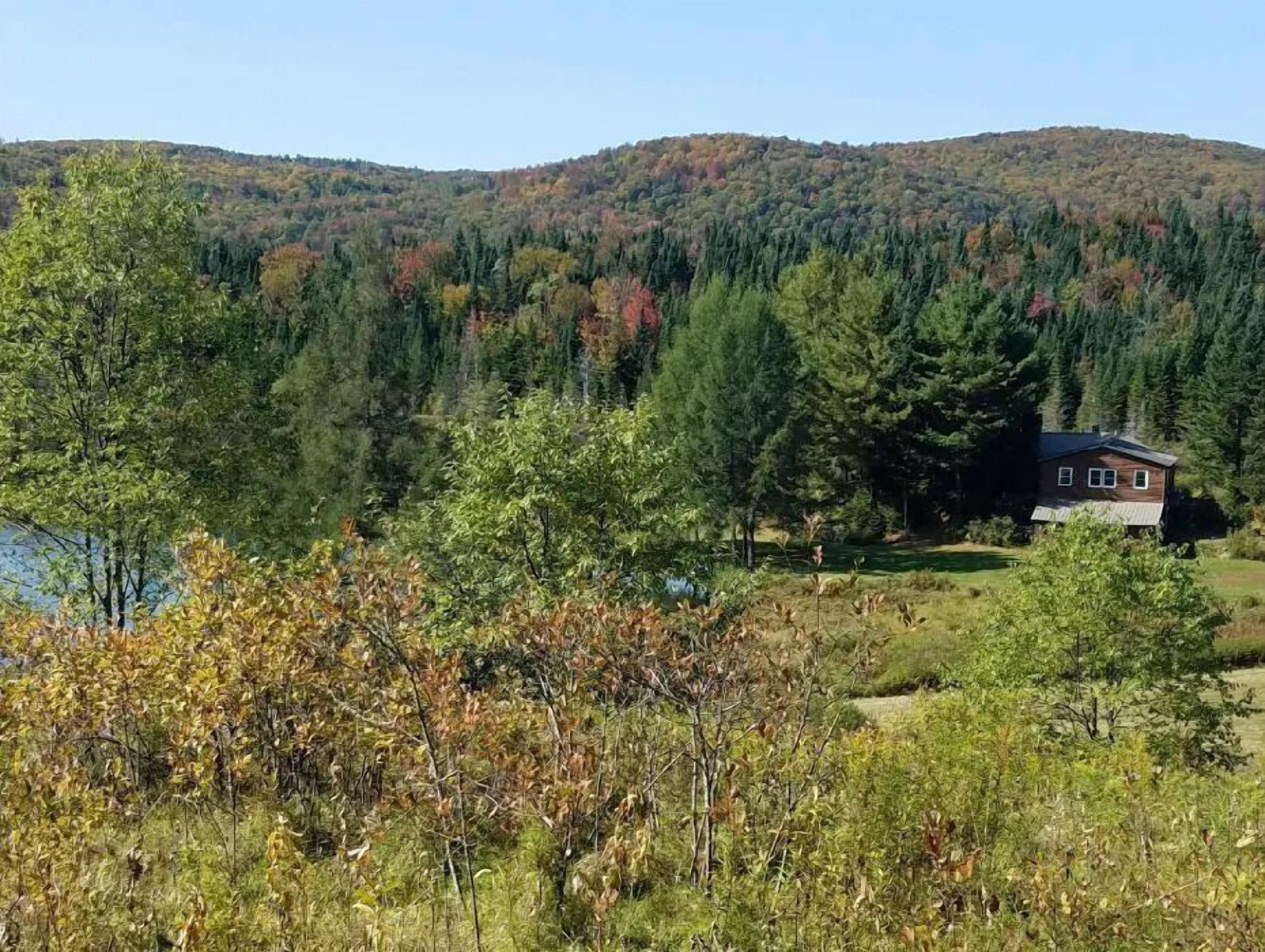 A house surrounded by a forest with a hill in the background.