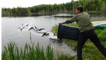 En person i en grön skjorta och mörka byxor bär ett stort svart föremål över ett grunt vattenområde nära en grön båt.