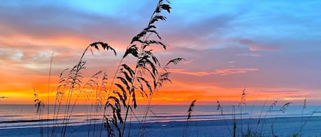 海灘