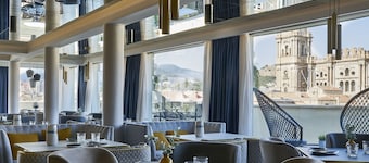 Hotel Vincci Larios Diez