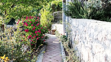 Jardin