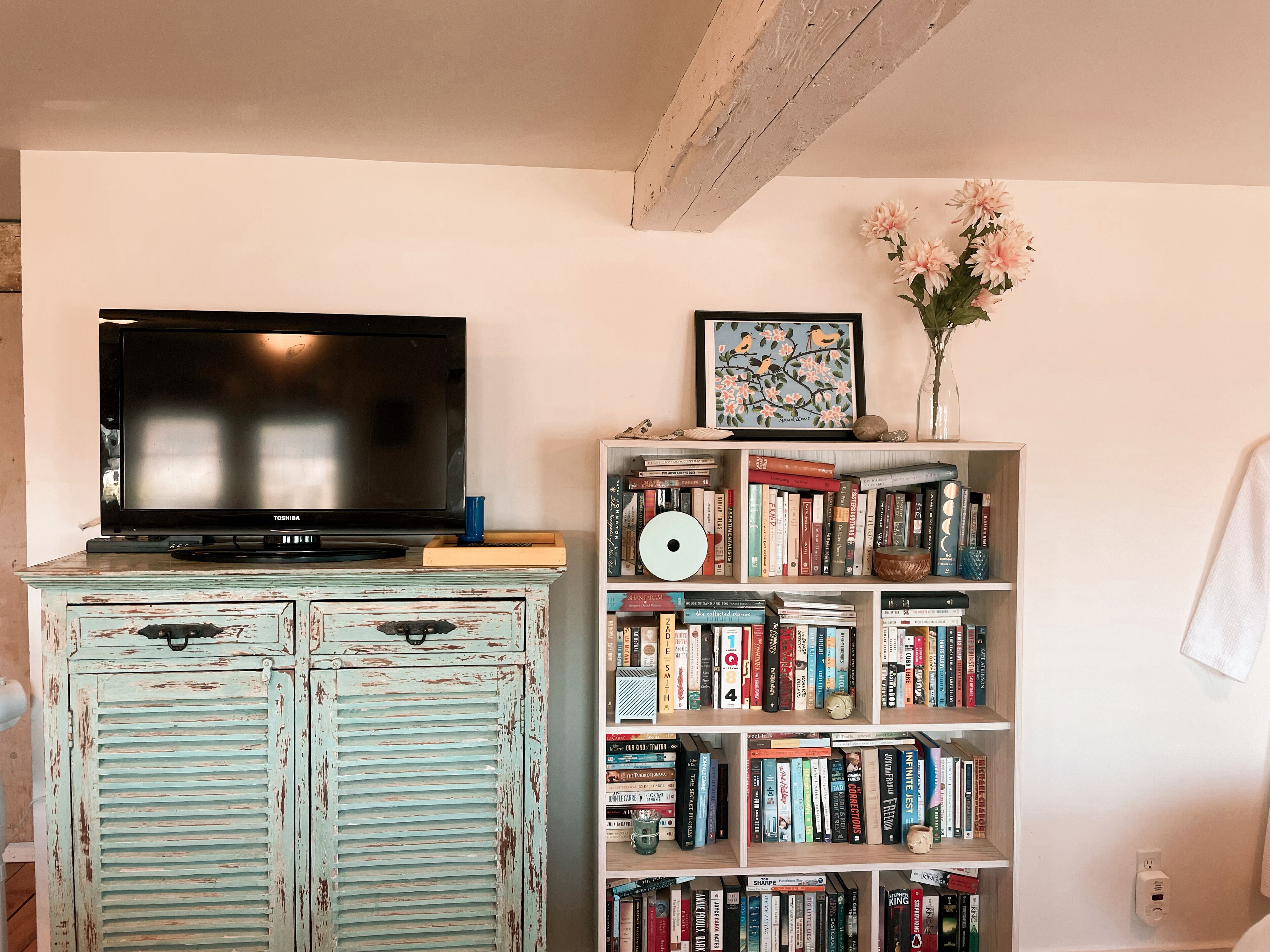 Un saló amb una televisió sobre un moble, una biblioteca plena de llibres i un quadre al mur.