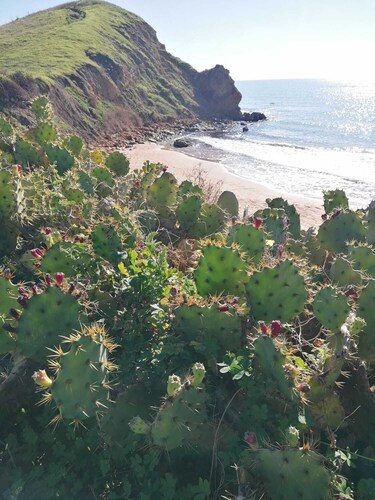 Holiday home with beautiful sea views, 3 minutes walk from the beach