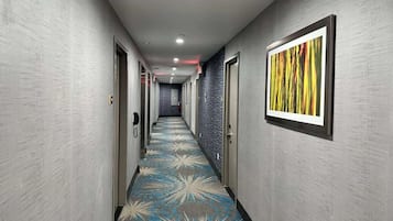 Comodidades da propriedade