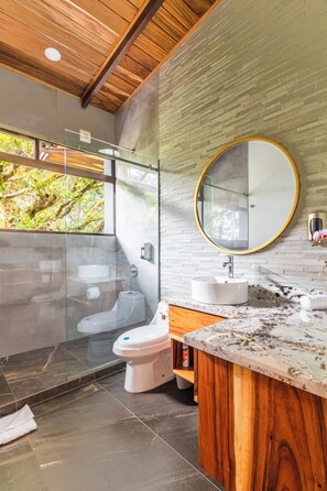 Shower, free toiletries, hair dryer, towels
