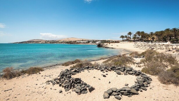 A beach with a clear blue sea, a rocky circle in the foreground, and a row of palm trees along the shore. - Home2Book Stunning Sultan Casa Estrella, Wifi (Corralejo)