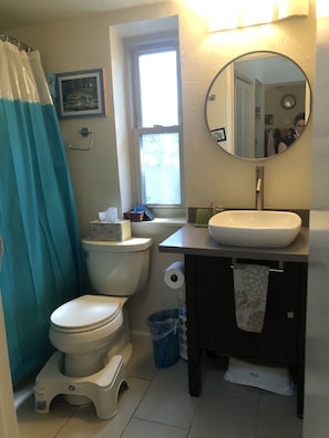 Combined shower/tub, hair dryer