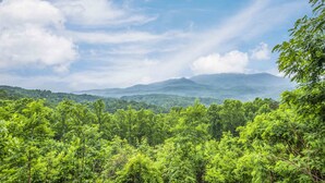 Un paisaje verde exuberante con follaje denso y montañas distantes bajo un cielo parcialmente nublado.