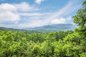 A lush green landscape with dense foliage and distant mountains under a partly cloudy sky.