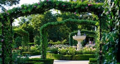 GOYA, ground floor studio